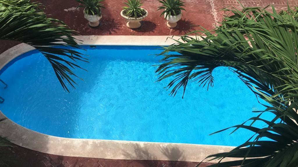 Arcoiris Share Apartment Bavaro Punta Cana Exterior foto